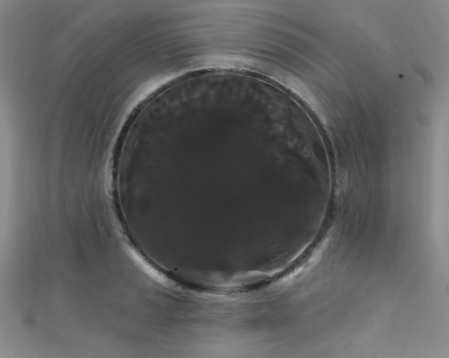 X0000111421037200907131158