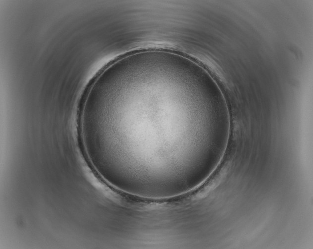 X0000111421038200907131158