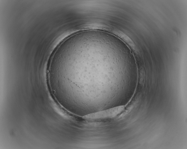 X0000111421039200907131158