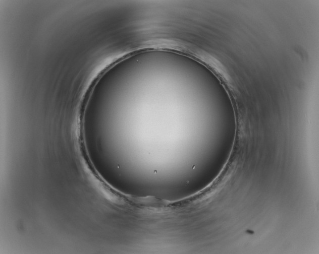 X0000111421040200907131158