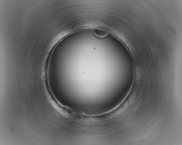 X0000111421042200907131158