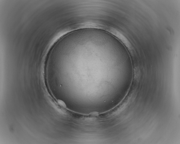 X0000111421043200907131158