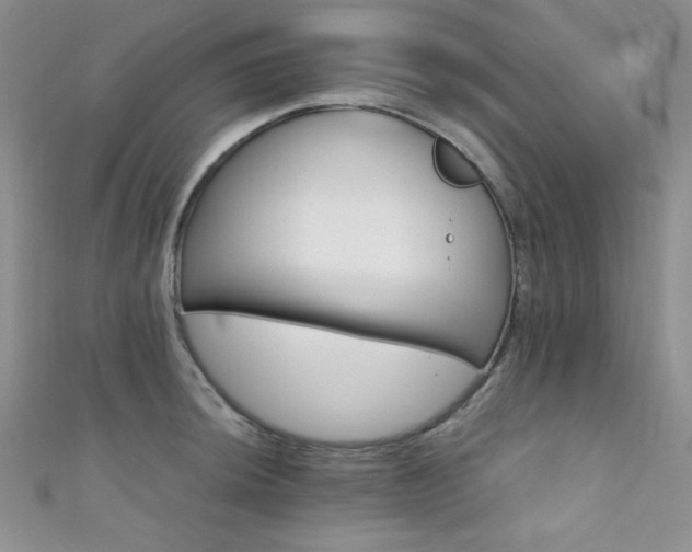 X0000111421044200907131158