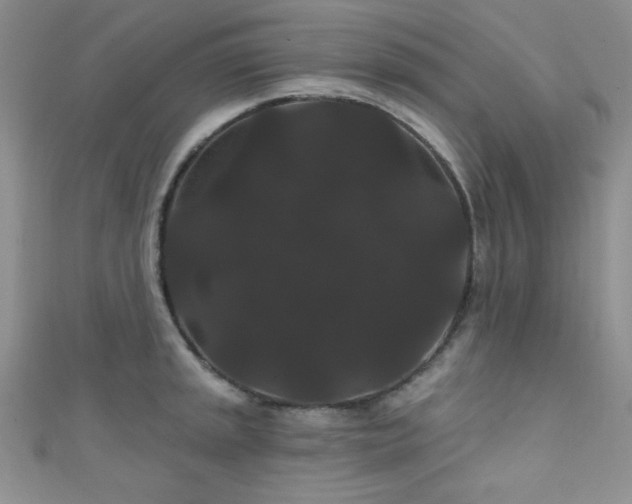 X0000111421045200907131158