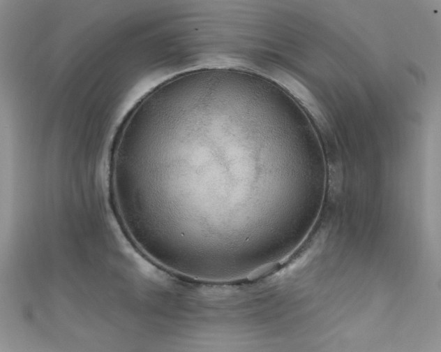 X0000111421046200907131158