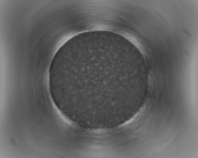 X0000111421047200907131158