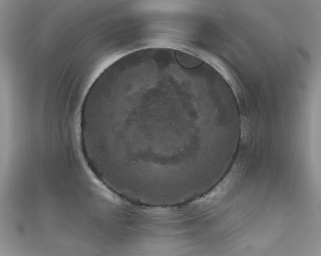 X0000111421048200907131158