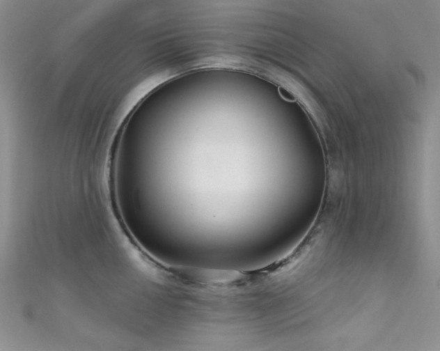 X0000111421050200907131158