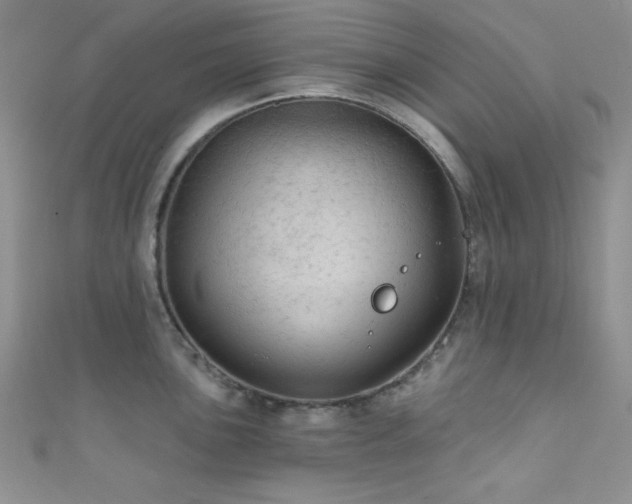 X0000111421051200907131158