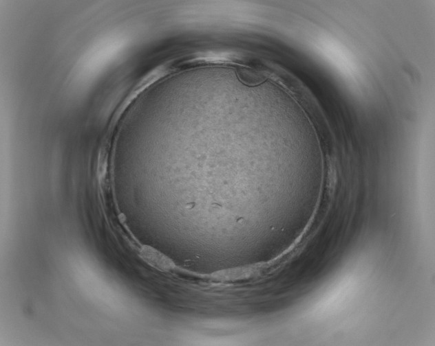 X0000111421052200907131158