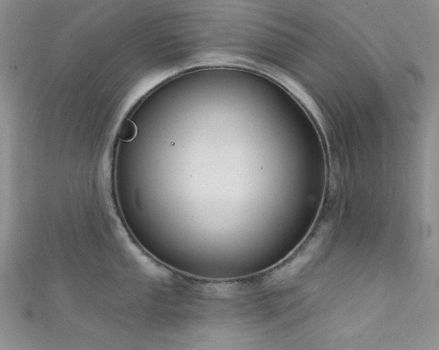 X0000111421053200907131158