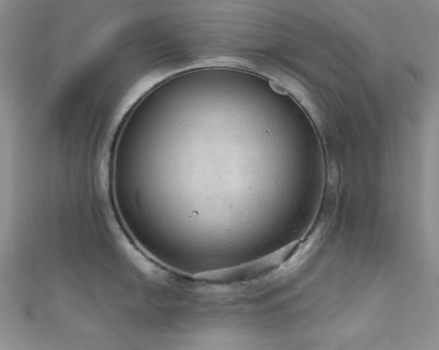 X0000111421054200907131158