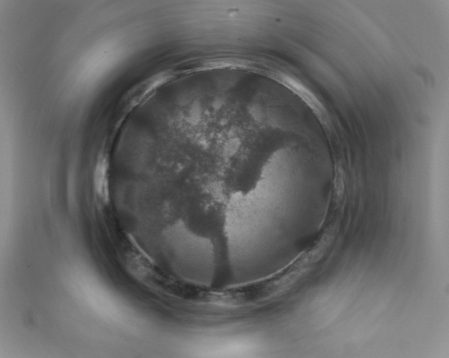 X0000111421055200907131158