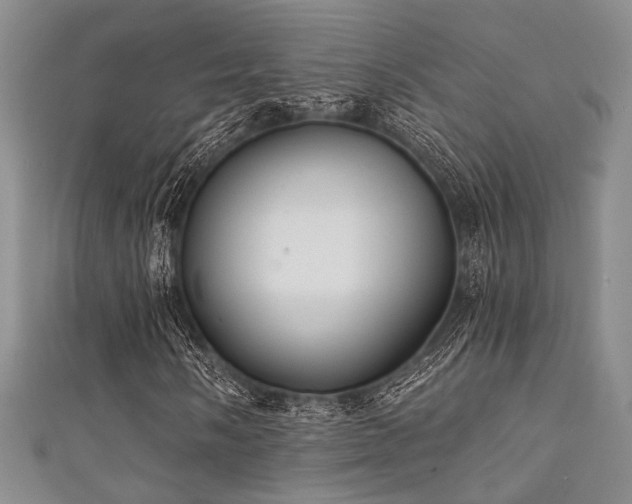 X0000111421058200907131157