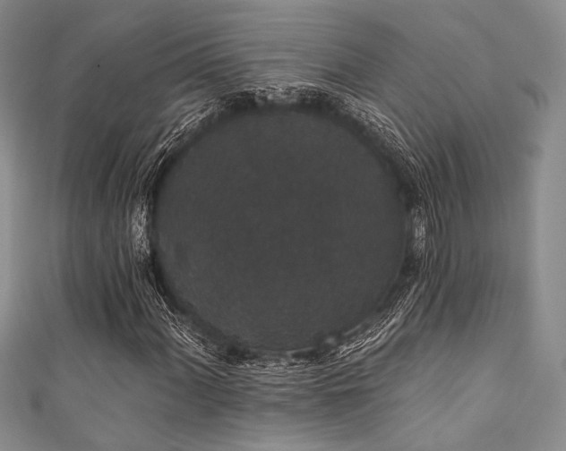 X0000111421060200907131157