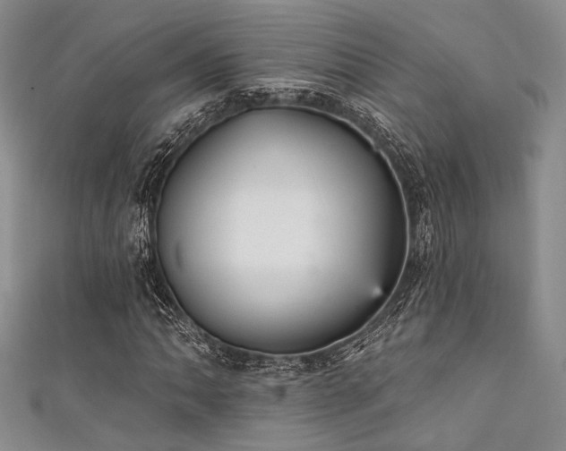 X0000111421062200907131157