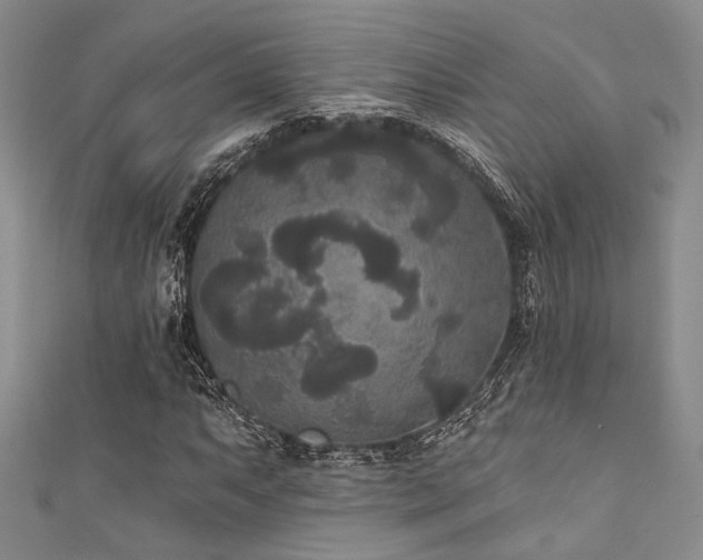 X0000111421063200907131157