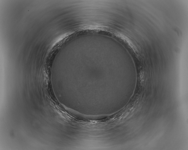 X0000111421064200907131157