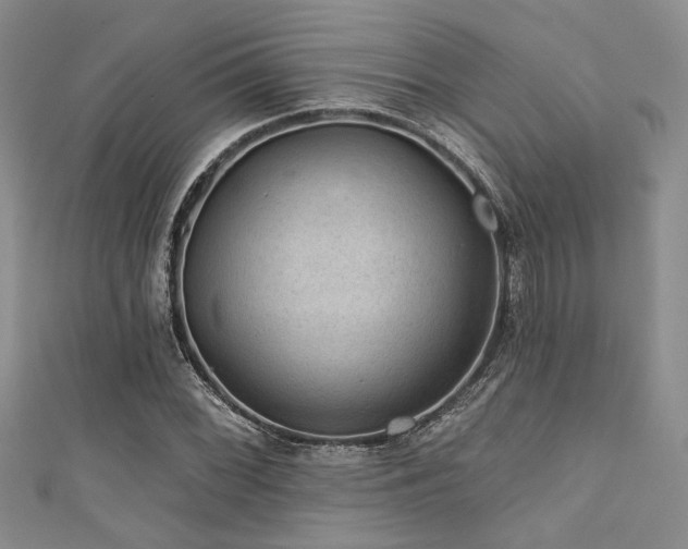 X0000111421068200907131157