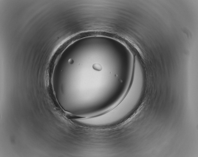 X0000111421069200907131157