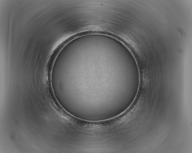 X0000111421070200907131157