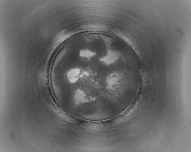 X0000111421074200907131157