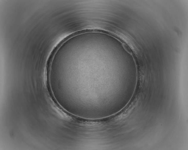 X0000111421076200907131157