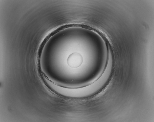 X0000111421077200907131157