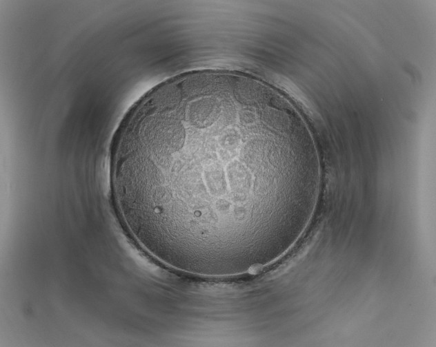 X0000111421079200907131157