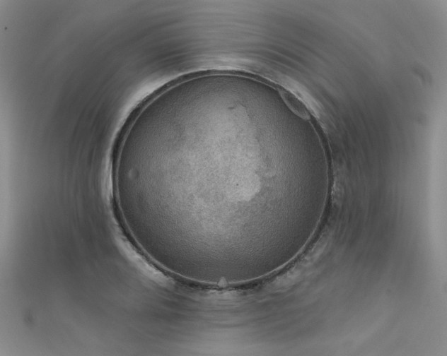 X0000111421080200907131157