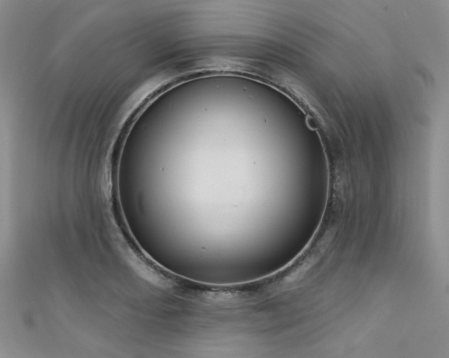 X0000111421082200907131157