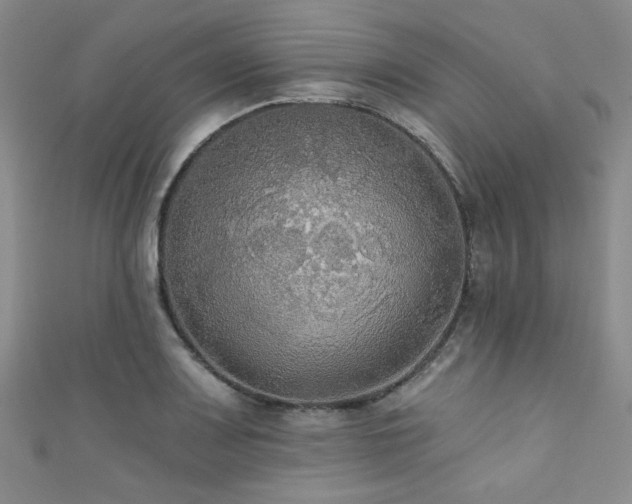 X0000111421083200907131157