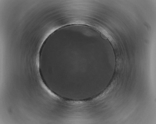 X0000111421084200907131157