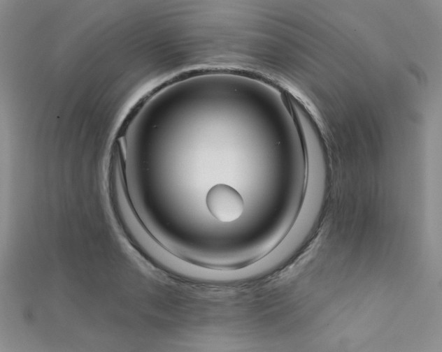 X0000111421085200907131157