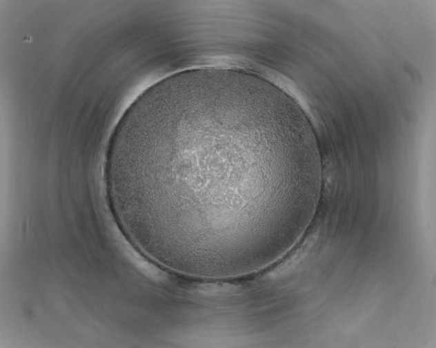 X0000111421091200907131157