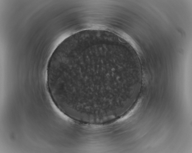 X0000111421095200907131157