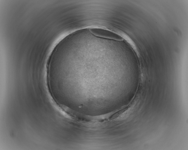 X0000111421096200907131157