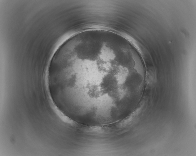 X0000111421098200907131157