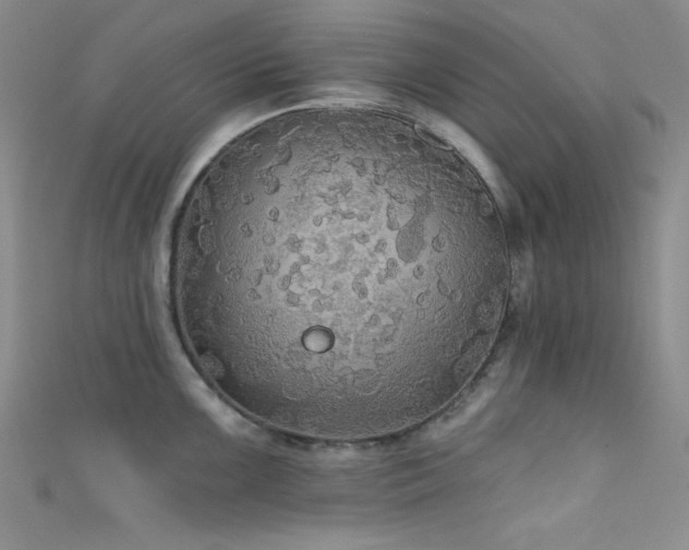 X0000111421099200907131157