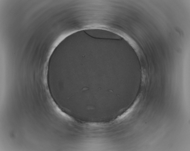 X0000111421102200907131157