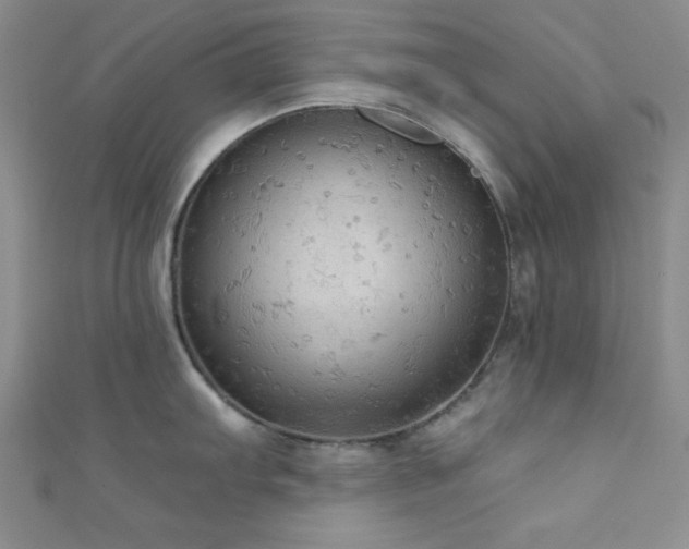 X0000111421103200907131157