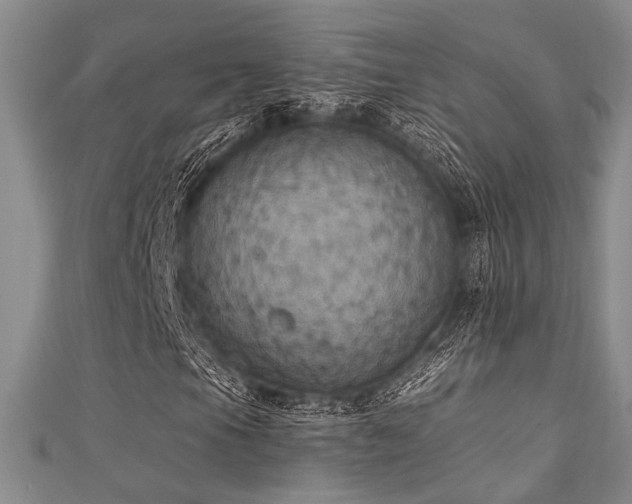 X0000111421105200907131156
