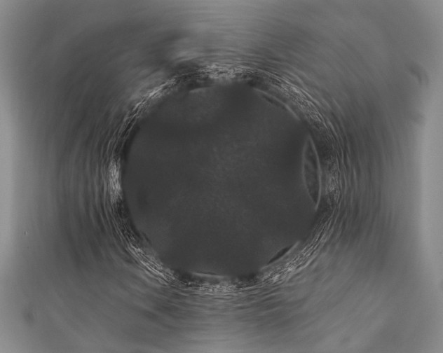 X0000111421106200907131156