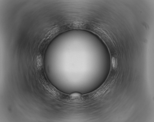 X0000111421107200907131156
