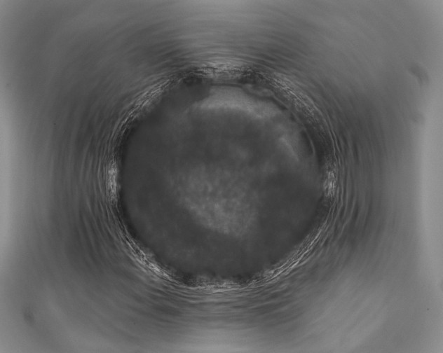 X0000111421108200907131156