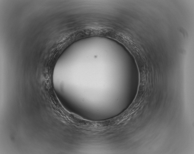 X0000111421109200907131156