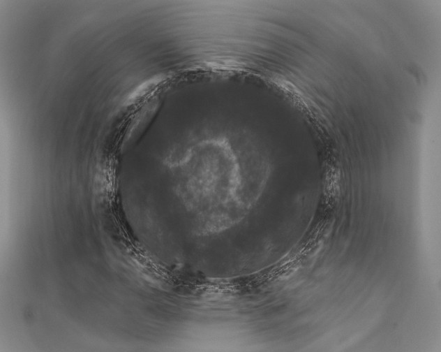 X0000111421110200907131156