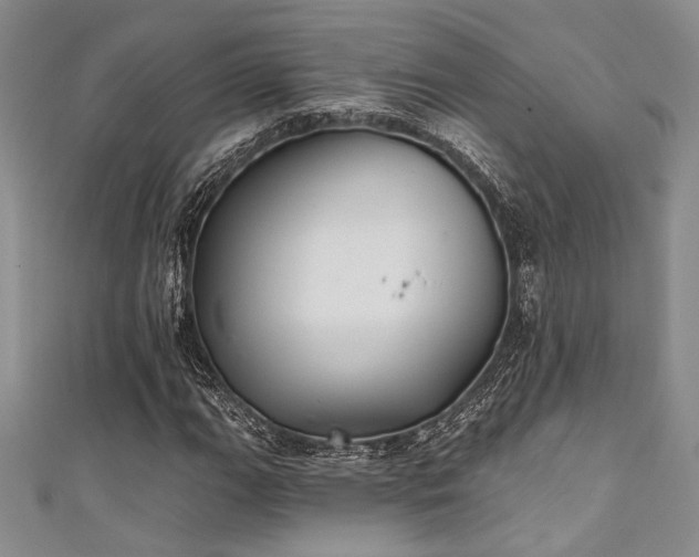 X0000111421111200907131156