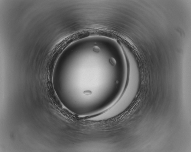X0000111421112200907131156
