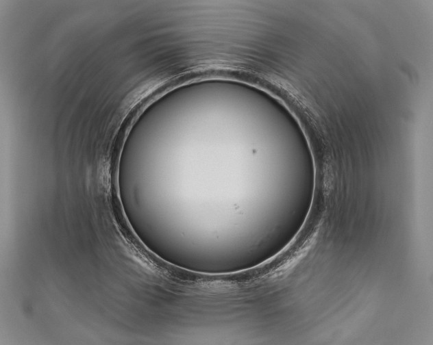 X0000111421113200907131156